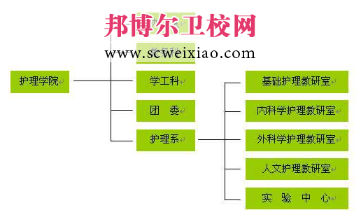 井岡山大學(xué)護理學(xué)院機構(gòu)設(shè)置