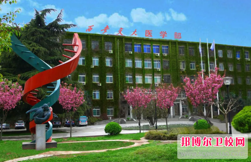 2023西安交通大學(xué)醫(yī)學(xué)院有哪些專業(yè) 西安交通大學(xué)醫(yī)學(xué)院開(kāi)設(shè)的專業(yè)一覽表