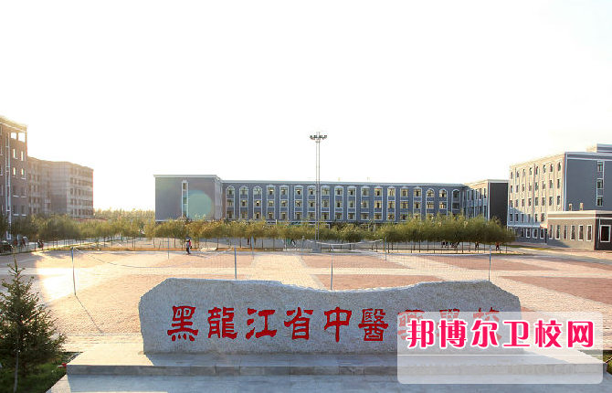 2023黑龍江省中醫(yī)藥學(xué)校有哪些專業(yè) 黑龍江省中醫(yī)藥學(xué)校開(kāi)設(shè)的專業(yè)一覽表