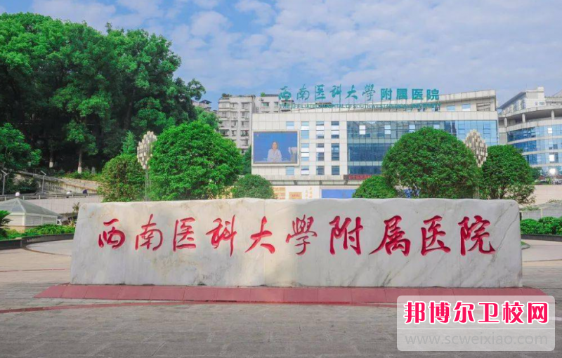 2024西南醫(yī)科大學附屬醫(yī)院衛(wèi)生學校有哪些專業(yè) 西南醫(yī)科大學附屬醫(yī)院衛(wèi)生學校開設的專業(yè)一覽表