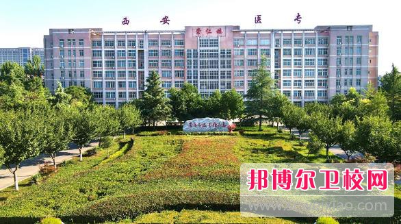 陜西2024年護理學校是什么學歷