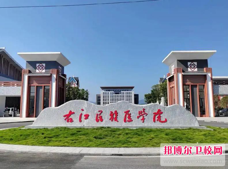 右江民族醫(yī)學(xué)院2025年報名條件、招生要求、招生對象