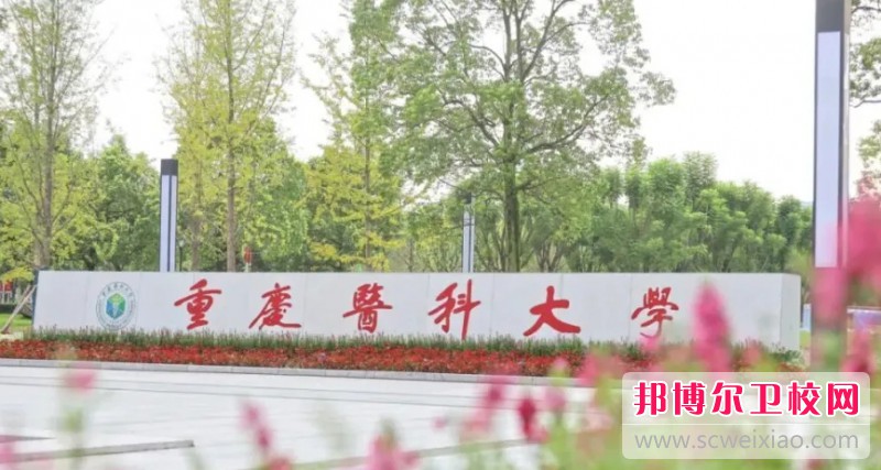 重慶醫(yī)科大學(xué)護理學(xué)院2024年招生錄取分?jǐn)?shù)線（2025參考）