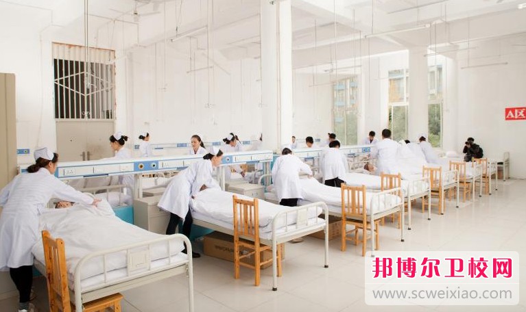 四川2025年護理學?？梢詫W什么