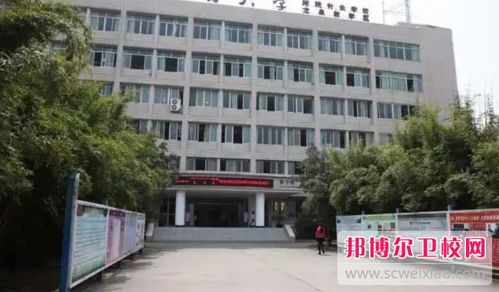 四川2025年護(hù)理學(xué)校哪里比較好