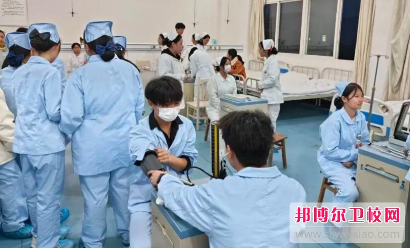 四川2025年護(hù)理學(xué)校是否好