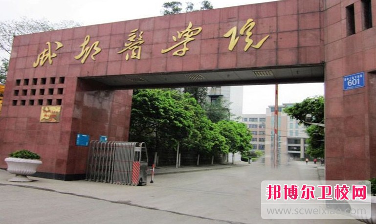 四川2025年就業(yè)最好的護(hù)理學(xué)校